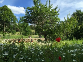 la-cabrioline-jardin-web-1055094